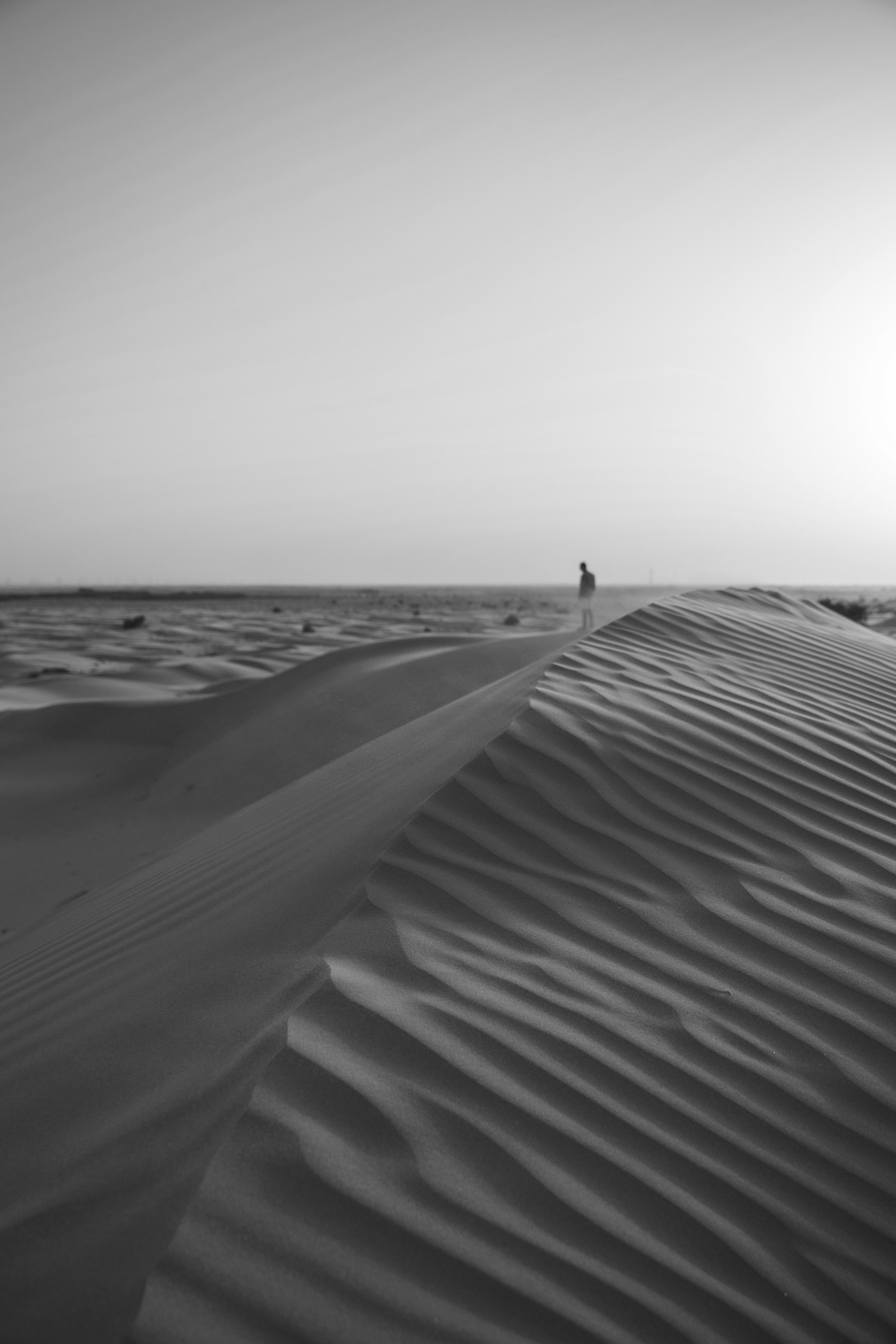 Big Dodzy Qcsgr448djw Unsplash